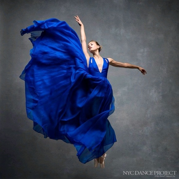 Meet your Posher, Timothy - Picture 1 of 1